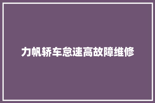 力帆轿车怠速高故障维修