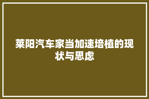 莱阳汽车家当加速培植的现状与思虑
