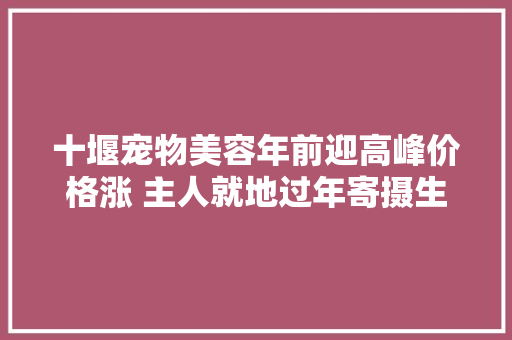 十堰宠物美容年前迎高峰价格涨 主人就地过年寄摄生意冷