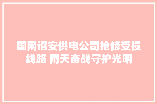 国网诏安供电公司抢修受损线路 雨天奋战守护光明 汽车知识