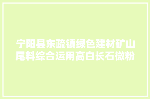 宁阳县东疏镇绿色建材矿山尾料综合运用高白长石微粉项目开工奠基典礼成功举行