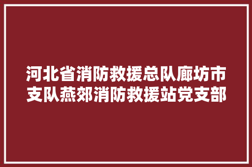河北省消防救援总队廊坊市支队燕郊消防救援站党支部以党建生命力带动军队战斗力