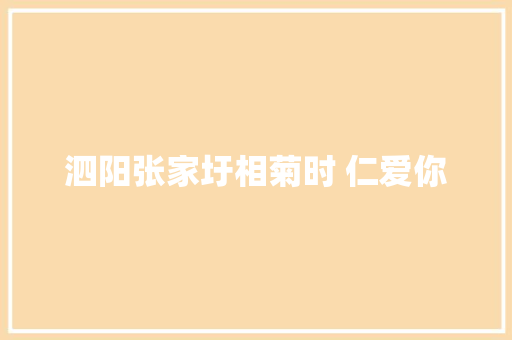 泗阳张家圩相菊时 仁爱你