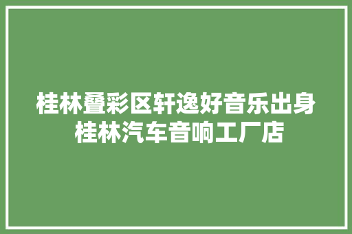 桂林叠彩区轩逸好音乐出身 桂林汽车音响工厂店