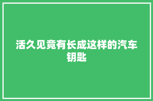 活久见竟有长成这样的汽车钥匙 汽车知识