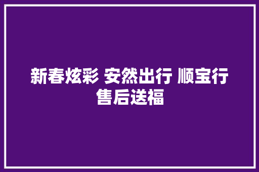 新春炫彩 安然出行 顺宝行售后送福