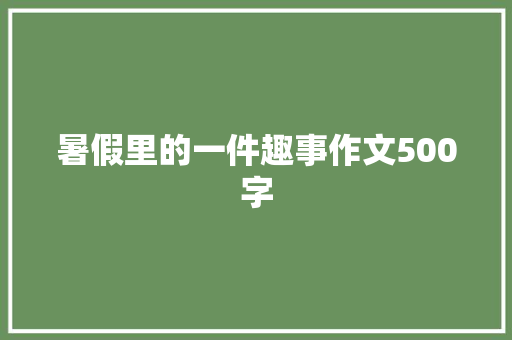 暑假里的一件趣事作文500字