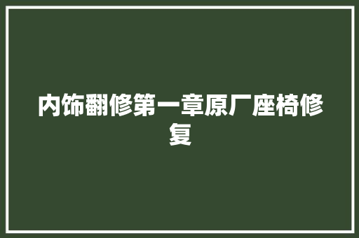 内饰翻修第一章原厂座椅修复