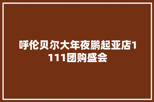 呼伦贝尔大年夜鹏起亚店1111团购盛会
