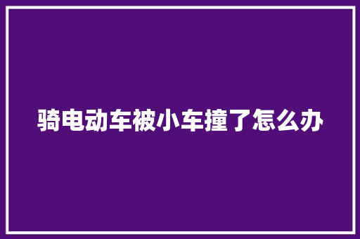 骑电动车被小车撞了怎么办