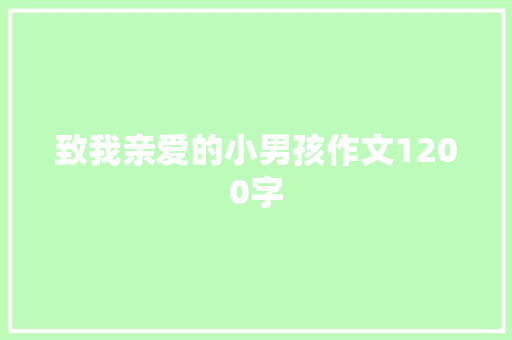 致我亲爱的小男孩作文1200字
