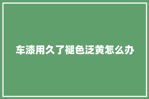 车漆用久了褪色泛黄怎么办