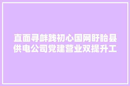 直面寻衅践初心国网盱眙县供电公司党建营业双提升工作纪实