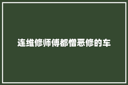 连维修师傅都憎恶修的车
