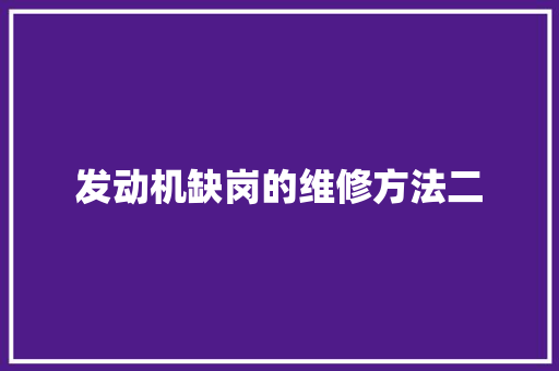发动机缺岗的维修方法二