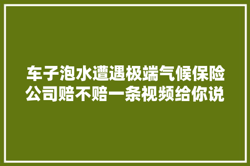 车子泡水遭遇极端气候保险公司赔不赔一条视频给你说明白