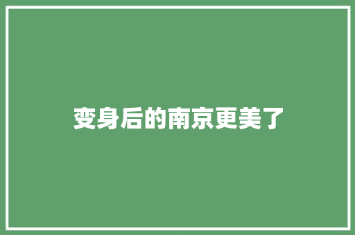 变身后的南京更美了