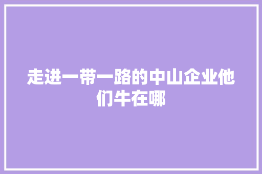 走进一带一路的中山企业他们牛在哪