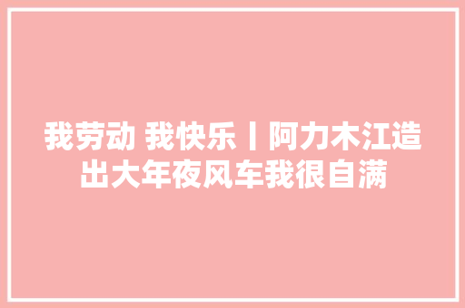 我劳动 我快乐丨阿力木江造出大年夜风车我很自满