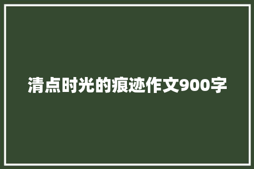 清点时光的痕迹作文900字