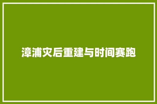 漳浦灾后重建与时间赛跑