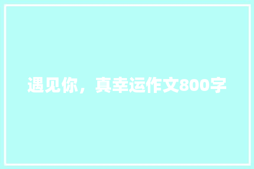 遇见你，真幸运作文800字