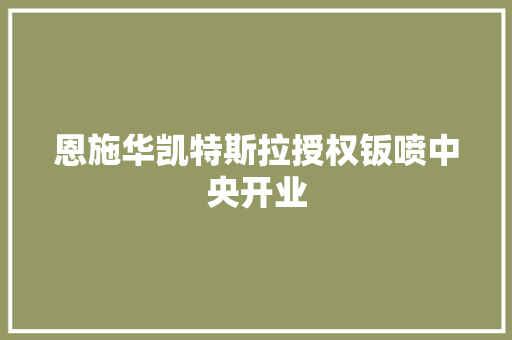 恩施华凯特斯拉授权钣喷中央开业