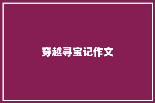 穿越寻宝记作文