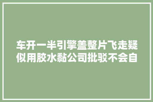 车开一半引擎盖整片飞走疑似用胶水黏公司批驳不会自动脱落