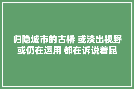 归隐城市的古桥 或淡出视野或仍在运用 都在诉说着昆明的过往