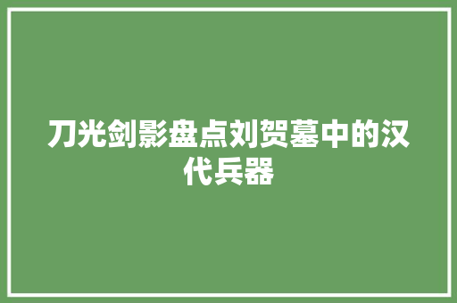 刀光剑影盘点刘贺墓中的汉代兵器