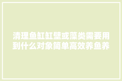 清理鱼缸缸壁或藻类需要用到什么对象简单高效养鱼养心