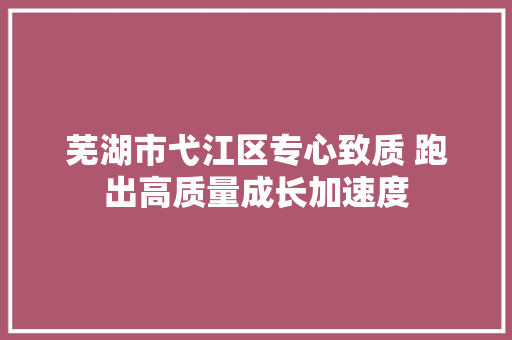 芜湖市弋江区专心致质 跑出高质量成长加速度