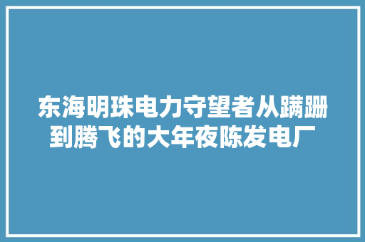 东海明珠电力守望者从蹒跚到腾飞的大年夜陈发电厂