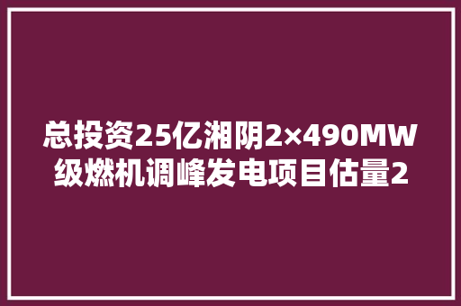 总投资25亿湘阴2×490MW级燃机调峰发电项目估量2025年建成投产