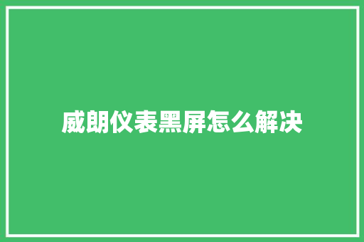 威朗仪表黑屏怎么解决