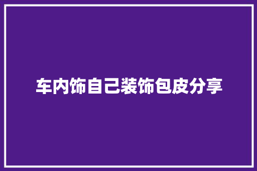 车内饰自己装饰包皮分享