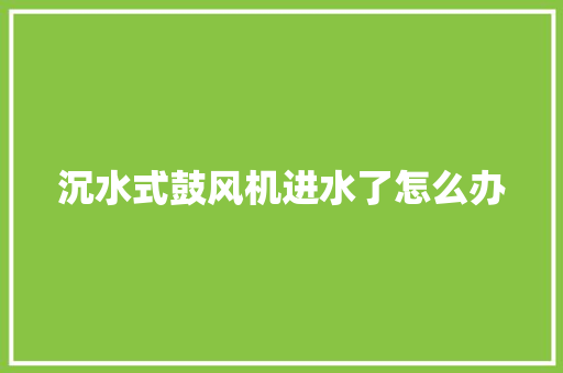 沉水式鼓风机进水了怎么办