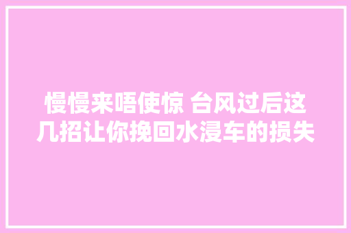 慢慢来唔使惊 台风过后这几招让你挽回水浸车的损失