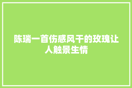 陈瑞一首伤感风干的玫瑰让人触景生情 休闲娱乐