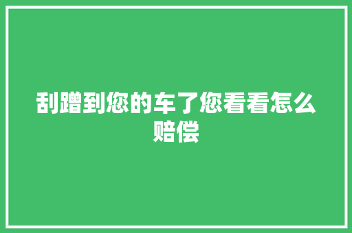 刮蹭到您的车了您看看怎么赔偿