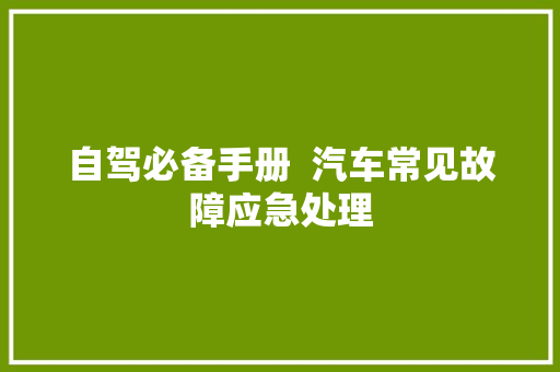 自驾必备手册  汽车常见故障应急处理