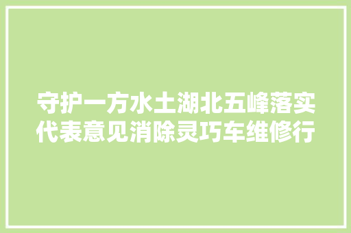 守护一方水土湖北五峰落实代表意见消除灵巧车维修行业污染隐患
