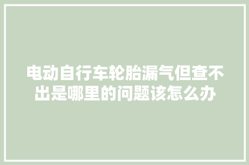 电动自行车轮胎漏气但查不出是哪里的问题该怎么办