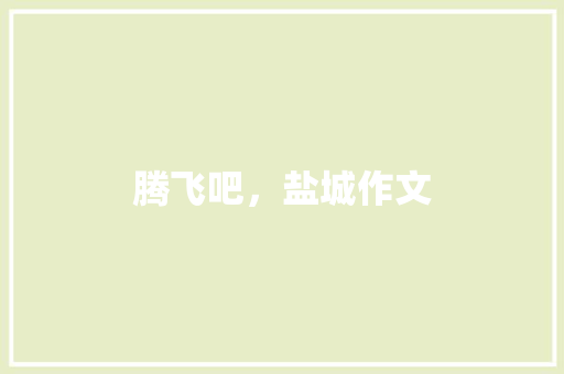 腾飞吧，盐城作文