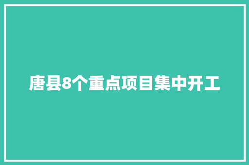 唐县8个重点项目集中开工