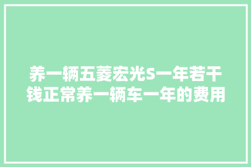 养一辆五菱宏光S一年若干钱正常养一辆车一年的费用若干