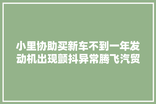 小里协助买新车不到一年发动机出现颤抖异常腾飞汽贸送两次保养