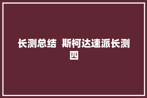 长测总结  斯柯达速派长测四