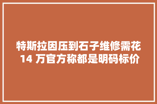 特斯拉因压到石子维修需花 14 万官方称都是明码标价